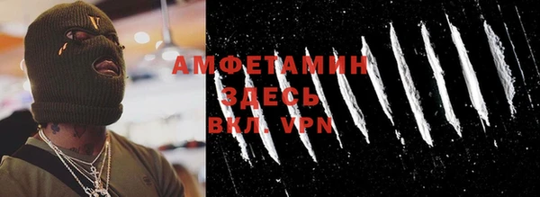 хмурый Верея