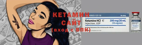 хмурый Верея