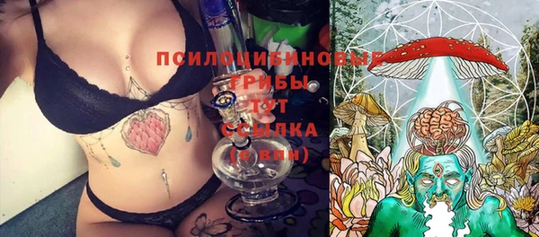 хмурый Верея