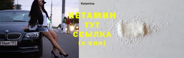 хмурый Верея