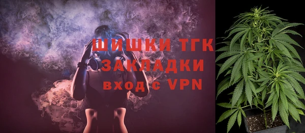 хмурый Верея